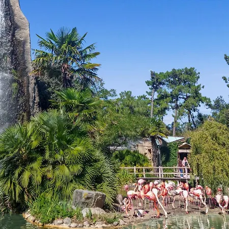 4 Bedroom Awesome In Σπίτι διακοπών *